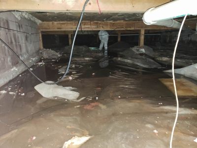 Waterproofing Experts